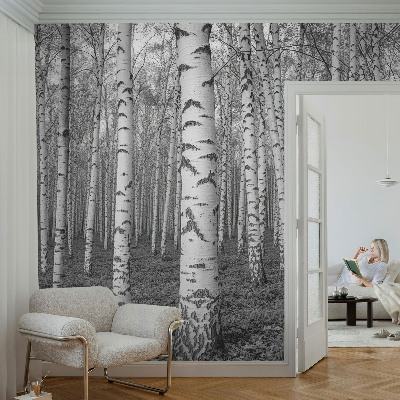 Vliestapete fürs Schlafzimmer mit Motiv eines Birkenwaldes