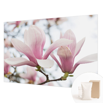 Dekorative Wand-Fototapete mit Motiv von Magnolienblüten