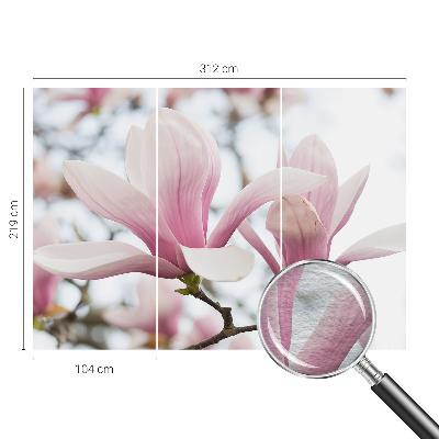 Dekorative Wand-Fototapete mit Motiv von Magnolienblüten