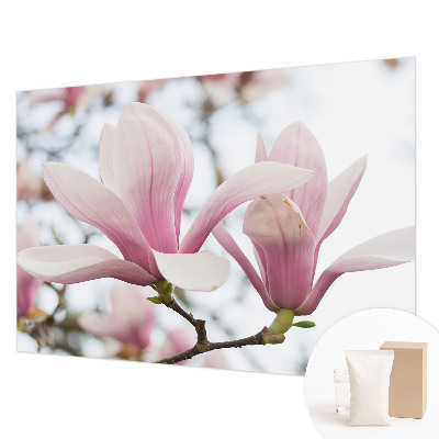 Dekorative Wand-Fototapete mit Motiv von Magnolienblüten