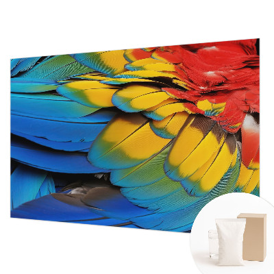 Motivtapete mit Regenbogenfedern als Motiv