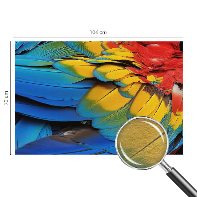 Motivtapete Regenbogenfedern