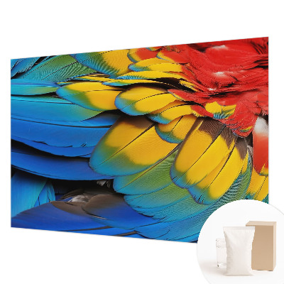 Motivtapete mit Regenbogenfedern als Motiv