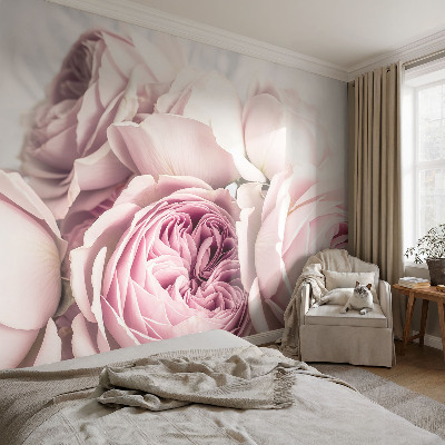Fototapete fürs Wohnzimmer mit rosafarbenen Rosenmotiv