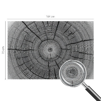 Motivtapete aus Vlies Harmonie des Waldes