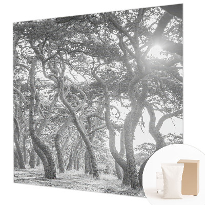 Fototapete fürs Kinderzimmer Atmosphärischer Wald