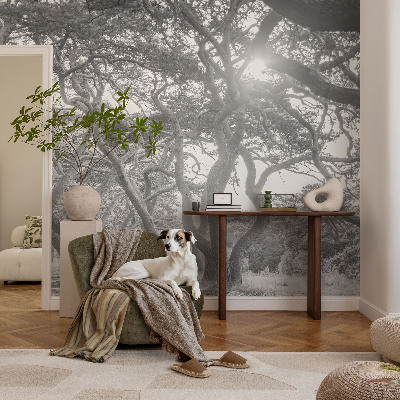 Fototapete fürs Kinderzimmer mit atmosphärischem Waldmotiv