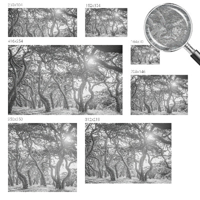 Fototapete fürs Kinderzimmer Atmosphärischer Wald