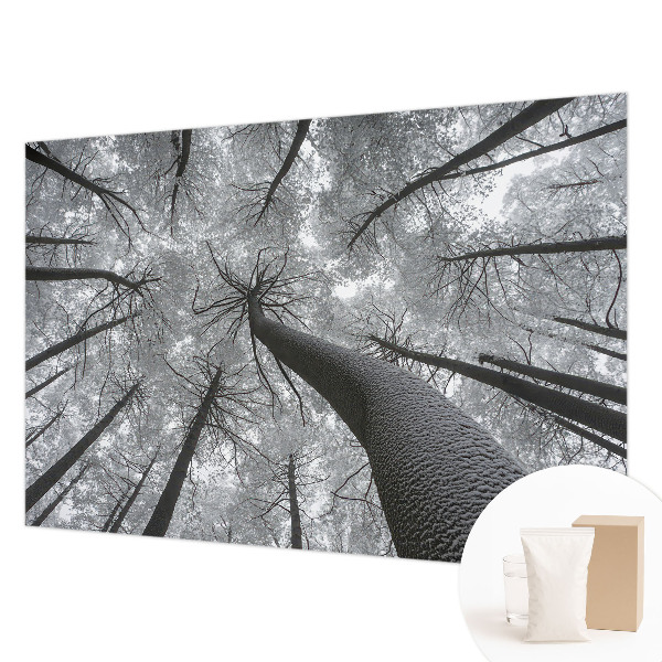 Vlies-Fototapete fürs Wohnzimmer mit einer Winterlandschaft