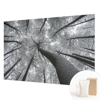 Vlies-Fototapete fürs Wohnzimmer mit einer Winterlandschaft