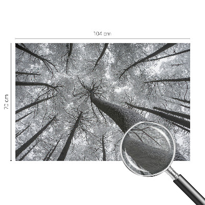 Vlies-Fototapete fürs Wohnzimmer mit einer Winterlandschaft