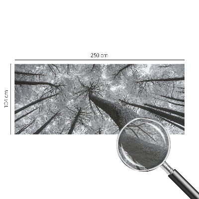 Vlies-Fototapete fürs Wohnzimmer mit einer Winterlandschaft
