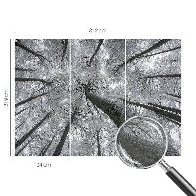 Vlies-Fototapete fürs Wohnzimmer mit einer Winterlandschaft