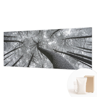 Vlies-Fototapete fürs Wohnzimmer mit einer Winterlandschaft