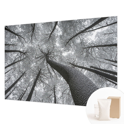 Vlies-Fototapete fürs Wohnzimmer mit einer Winterlandschaft
