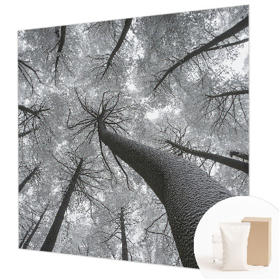 Vlies-Fototapete fürs Wohnzimmer mit einer Winterlandschaft