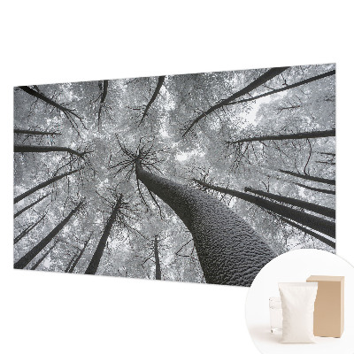 Vlies-Fototapete fürs Wohnzimmer mit einer Winterlandschaft