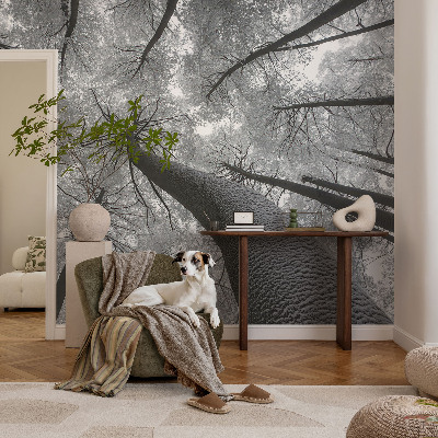 Vlies-Fototapete fürs Wohnzimmer mit einer Winterlandschaft