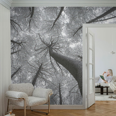 Vlies-Fototapete fürs Wohnzimmer mit einer Winterlandschaft
