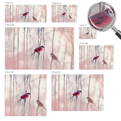 Wand-Fototapete Vogelpaar