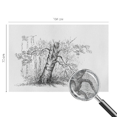 Fototapete mit Motiv eines Waldes und Baumdetails