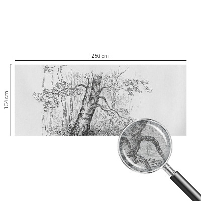 Fototapete mit Motiv eines Waldes und Baumdetails