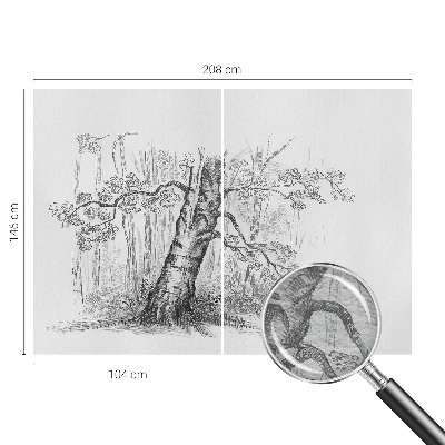 Fototapete mit Motiv eines Waldes und Baumdetails
