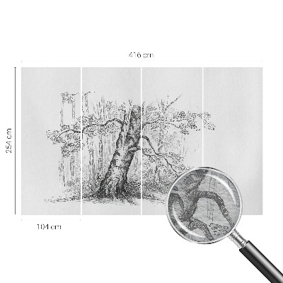 Fototapete mit Motiv eines Waldes und Baumdetails