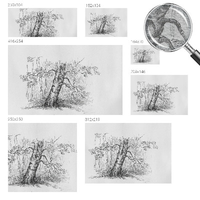 Fototapete mit Motiv eines Waldes und Baumdetails
