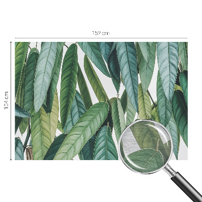 Wandtapete Natürliche Blätter