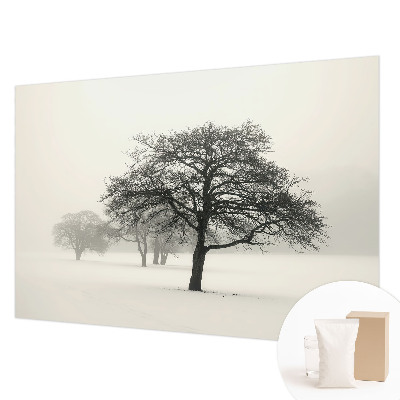 Fototapete fürs Schlafzimmer mit winterlichen Baum-Motiven