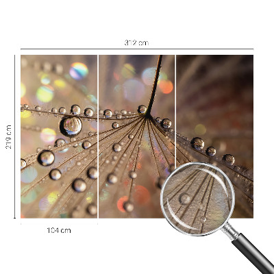 Motivtapete Perlentropfen