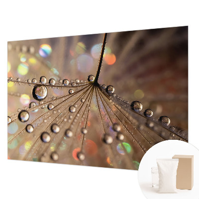 Motivtapete Perlentropfen