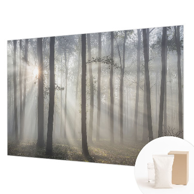 Wandtapete mit Motiv ‚Ätherischer Wald‘