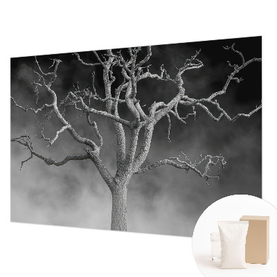 Moderne Vlies-Fototapete mit Motiv 'Nebelbaum'