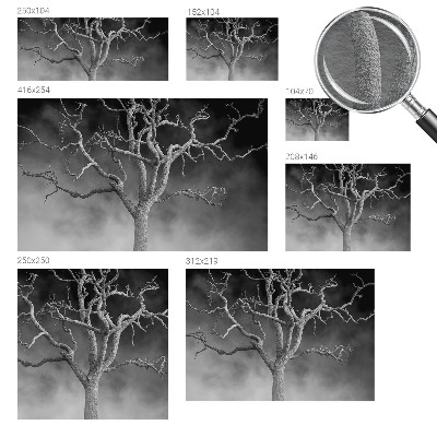 Moderne Vlies-Fototapete mit Motiv 'Nebelbaum'