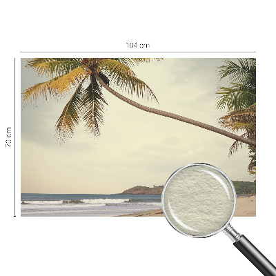 Vlies-Fototapete fürs Wohnzimmer mit einem Motiv einer tropischen Landschaft