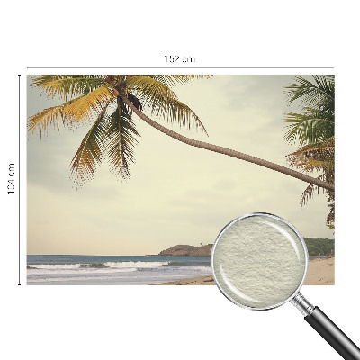 Vlies-Fototapete fürs Wohnzimmer mit einem Motiv einer tropischen Landschaft