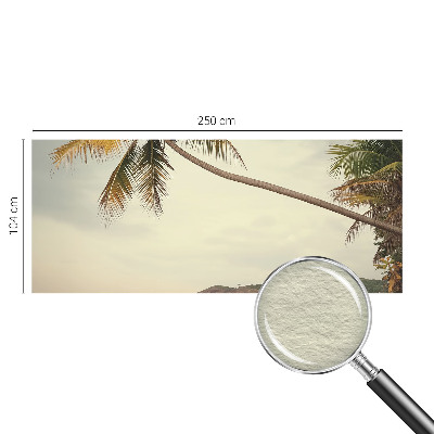 Vlies-Fototapete fürs Wohnzimmer mit einem Motiv einer tropischen Landschaft