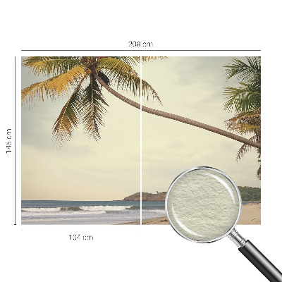 Vlies-Fototapete fürs Wohnzimmer mit einem Motiv einer tropischen Landschaft