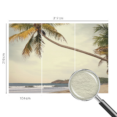 Vlies-Fototapete fürs Wohnzimmer mit einem Motiv einer tropischen Landschaft