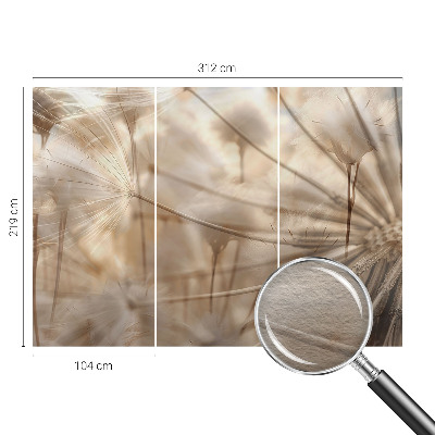 Fototapete Zarte Löwenzahnblüten