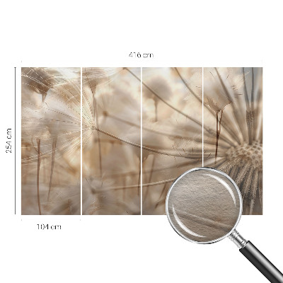 Fototapete Zarte Löwenzahnblüten