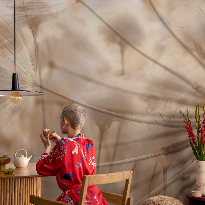 Fototapete Zarte Löwenzahnblüten