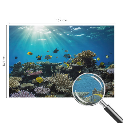 Vlies-Fototapete fürs Schlafzimmer mit einem Motiv der Unterwasserwelt