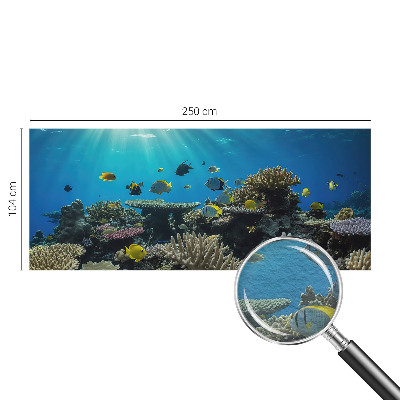 Vlies-Fototapete fürs Schlafzimmer mit einem Motiv der Unterwasserwelt