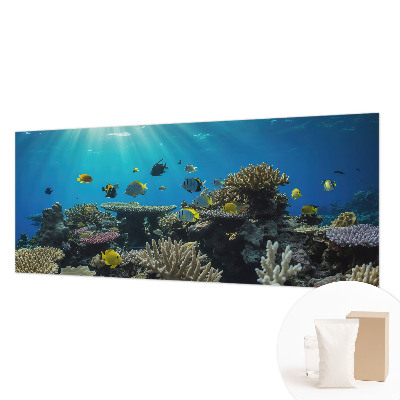 Vlies-Fototapete fürs Schlafzimmer mit einem Motiv der Unterwasserwelt