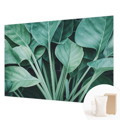 Vliestapete fürs Schlafzimmer mit grünem Naturmotiv