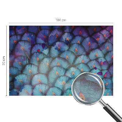 Vlies-Fototapete fürs Wohnzimmer mit bunten Federn als dekorativem Motiv