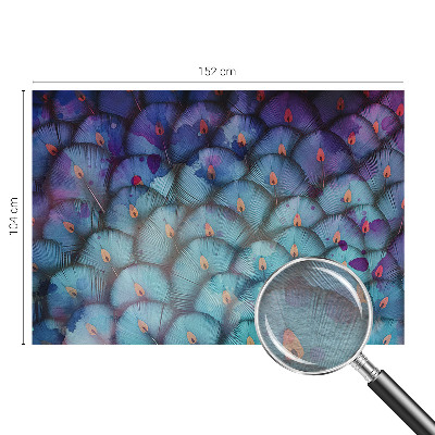 Vlies-Fototapete fürs Wohnzimmer mit bunten Federn als dekorativem Motiv